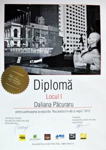Artist Daliana Pacuraru Receives 1st Prize Award